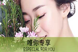 雅诗之谜